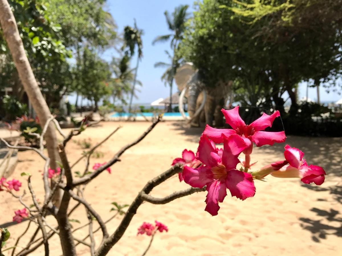 White Elephant Sea Lodge Malindi Dış mekan fotoğraf