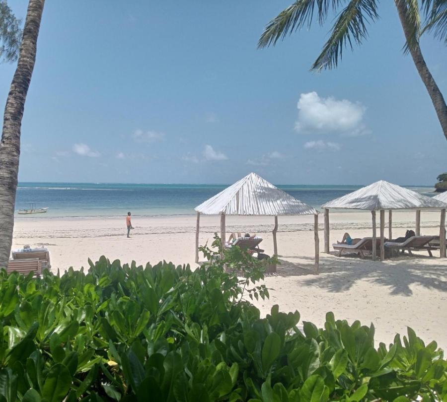 White Elephant Sea Lodge Malindi Dış mekan fotoğraf
